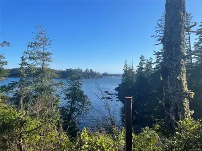 View 3
