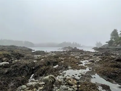 View 31