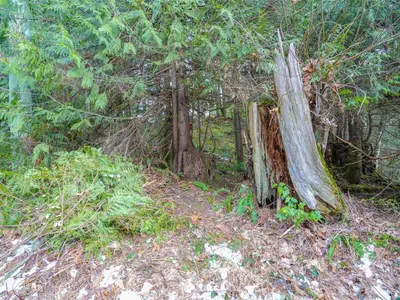 View 30