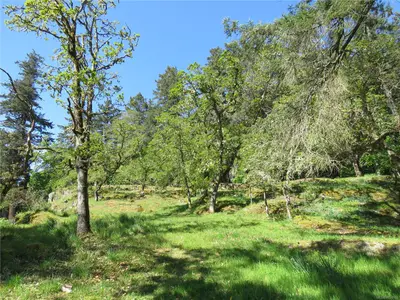 View 73