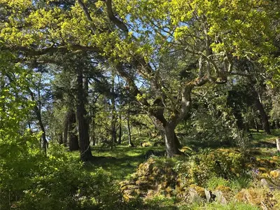 View 83