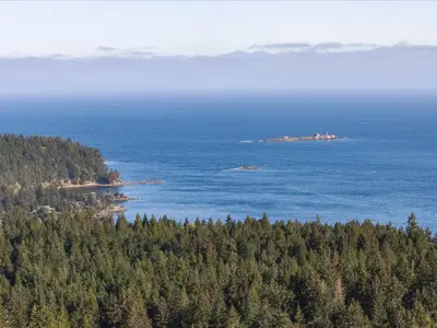 View 25