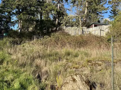 View 10
