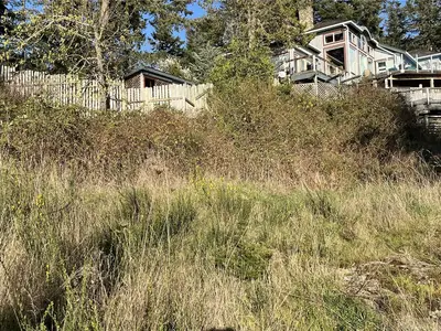 View 11