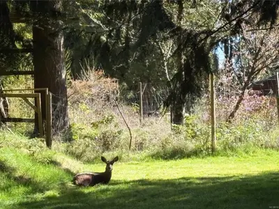 View 29