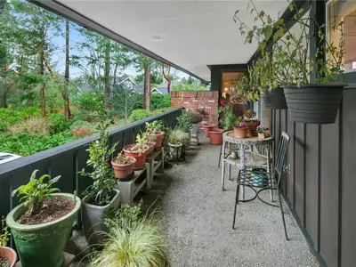 View 42