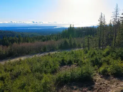 View 16