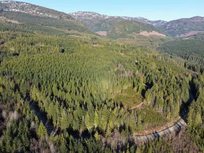 View 12