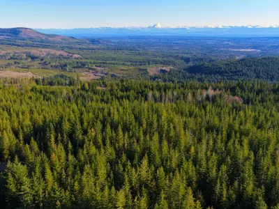 View 22