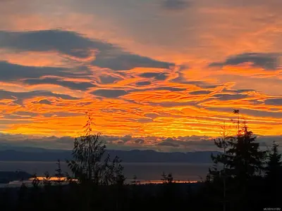View 1