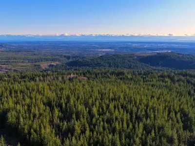 View 10
