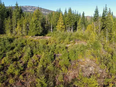 View 14