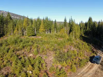 View 15