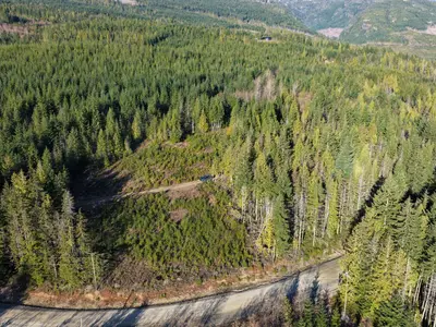 View 21