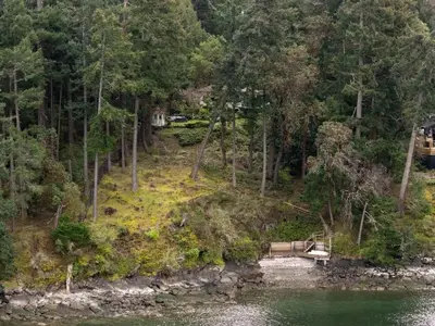 View 42
