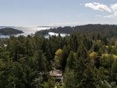 View 40
