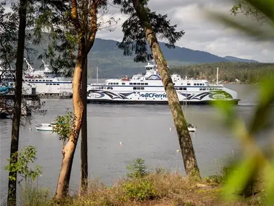 View 25
