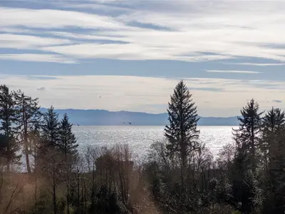 View 74