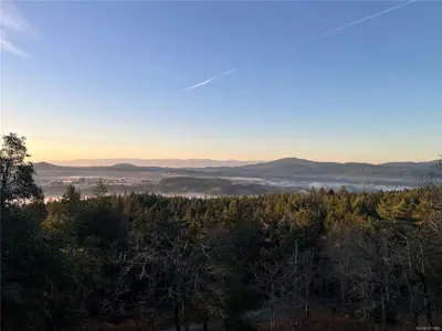 View 30