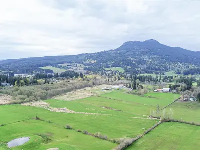 View 42