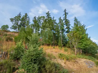 View 17