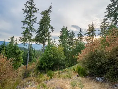 View 16