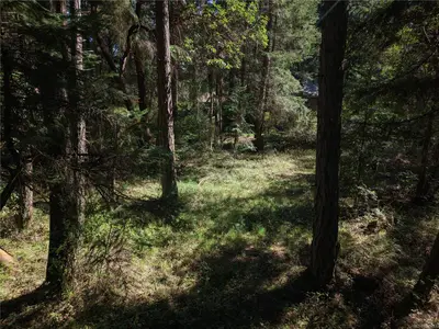 View 13
