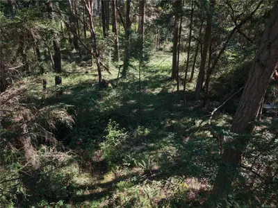 View 14