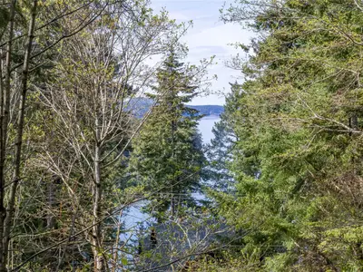 View 46