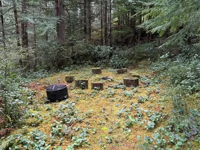 View 29