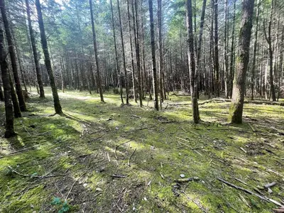 View 3