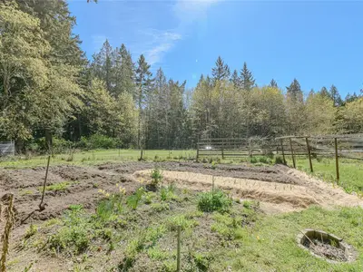 View 11