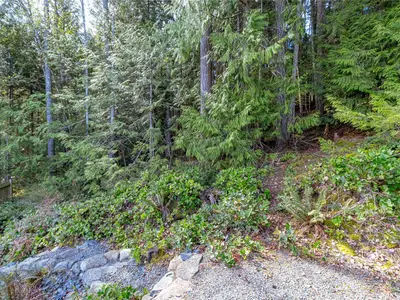 View 50