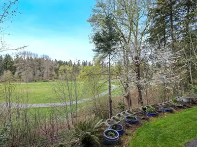 View 32