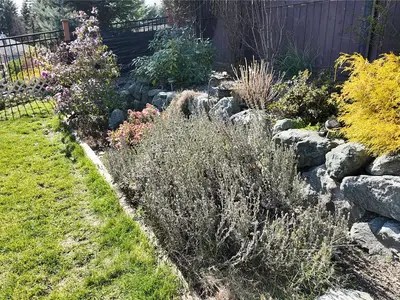 View 39