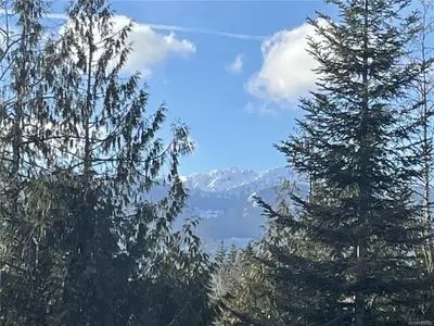View 23