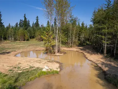 View 28