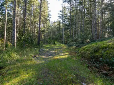 View 6