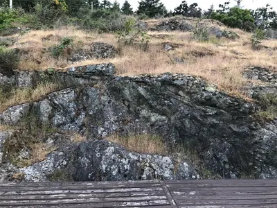 View 57