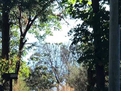 View 3