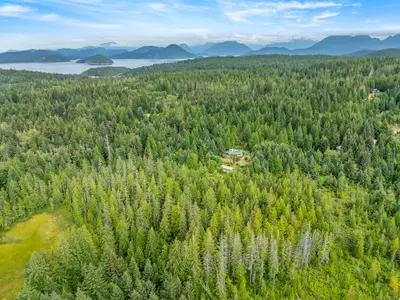 View 65