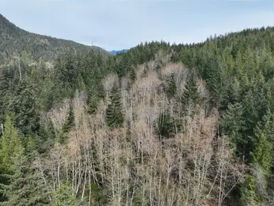 View 13
