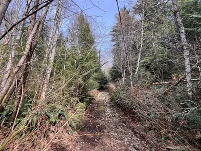 View 15