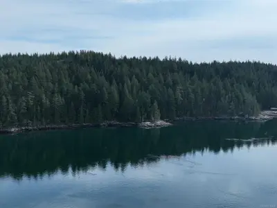 View 5