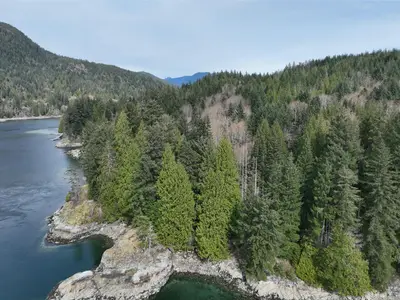 View 14