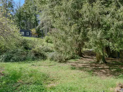 View 31