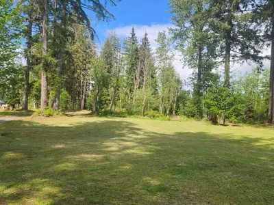 View 41
