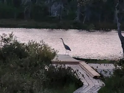 View 37