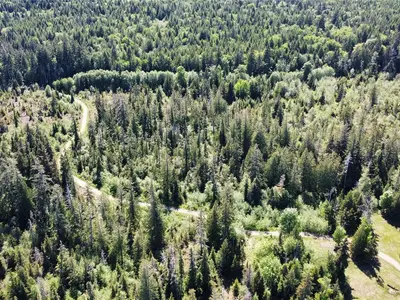 View 5