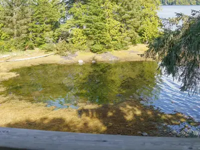 View 1